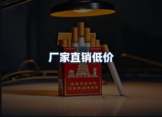 专业团队办公环境